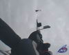 Tit.: Red Bull Bs As Helijump - Lugar: Costanera de Bs As - Autor: Hernán Pitocco & Red